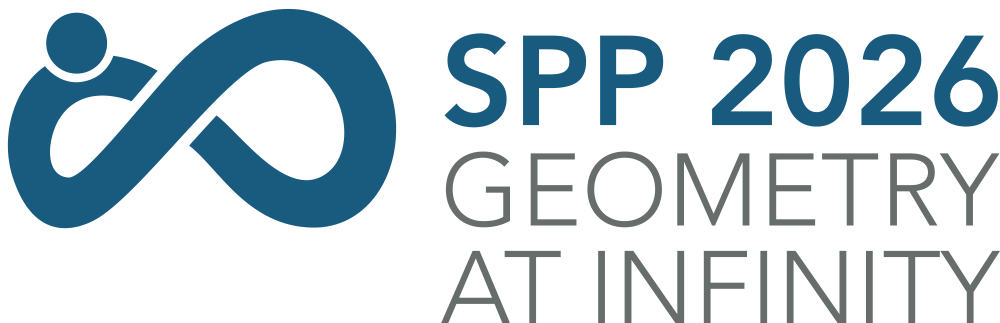Logo of SPP Geometry at Infinity