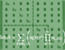Jordansche Normalform und Leibnizsche Determinantenformel